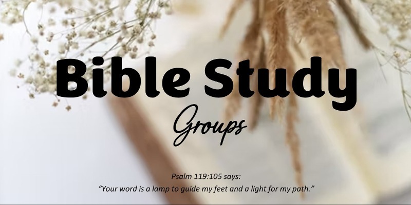 Bible Study Groups